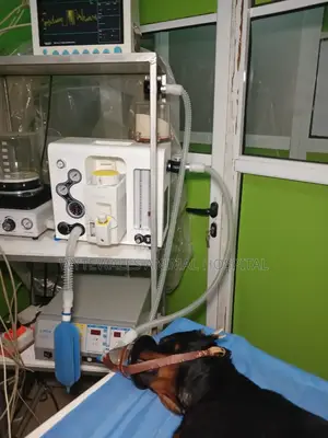 Veterinary Clinic