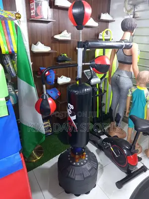 Standing Punching Bag With Speed Ball