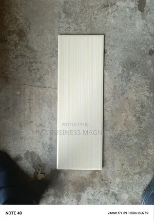 20x60 High Quality Spanish Wall Tiles