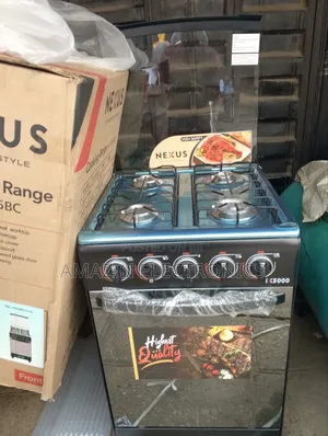 Nexus Standing Gas Auto Ignition