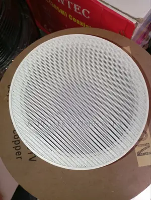 Ceiling Speaker Bt