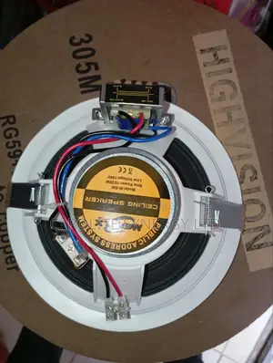 Ceiling Speaker Bt