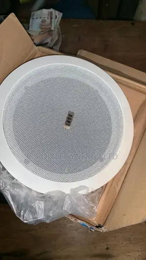 Ceiling Speaker Bt