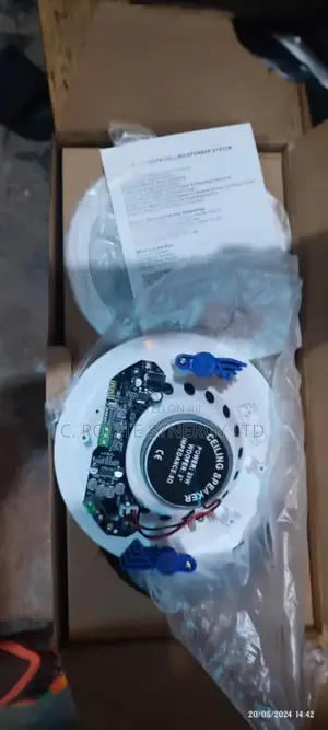 Ceiling Speaker Bt