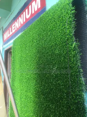 Carpet Grass