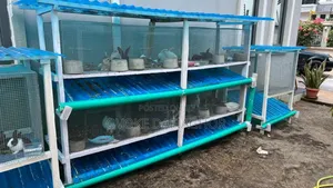 Cages (For Rabbits and Other Animals)