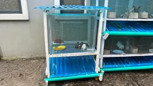 Cage (Durable and Fancy Cage)
