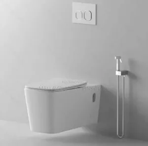 White Conceal Toilet Seats WC + Bidet Sprayer