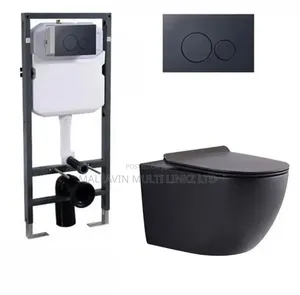 Black Wall Hung Toilet Seats and Concealed Tank