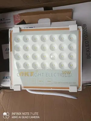 30w Flood Light Akt Electric