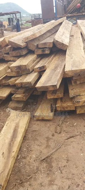 Taraba Woods