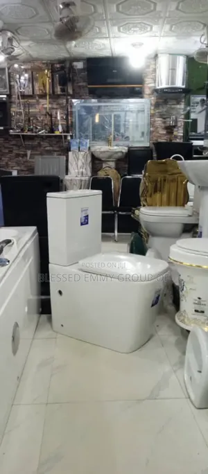 Executive Wc Set With the Wash Hand Basin
