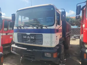 Man DIESEL 10 Tyres Dumb Truck