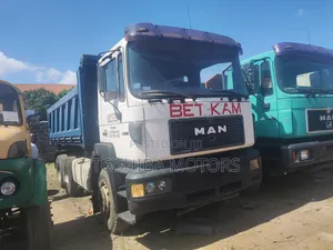Man DIESEL 10 Tyres Dumb Truck