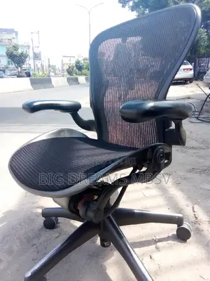 Miller  Orthopedic Executive Swivel Chair