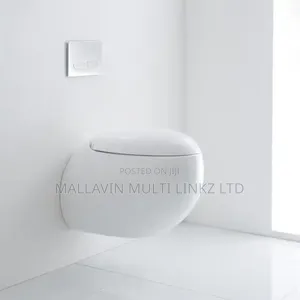 Egg Shape Wall Hung Wc With Conceal Tank