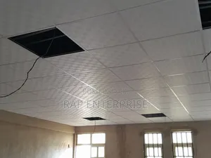 Ceiling N Grid Supply