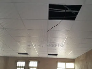 Ceiling Work