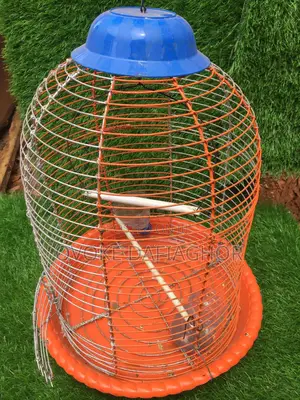 Cages For Parrots
