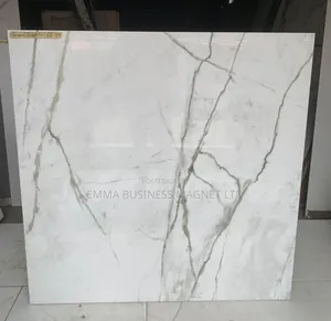 120x120 High Quality Spanish Floor Tiles