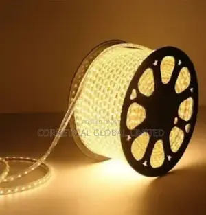 Modern Quality Single Color LED Rope Light