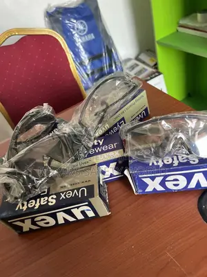 Uvex Safety Goggles