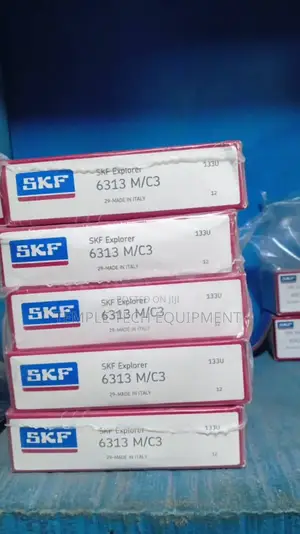 6313 M/C3 S.K.F Bearing