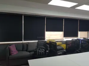 Window Blinds (Blackout Roller)