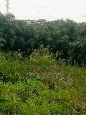 Acres of Land Along Lagos-Ibadan Expressway