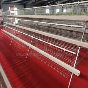 120 Birds Super Hotdip Imported Cage(20years),Fish Kiln