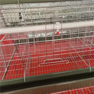 A Type Hot Imported 160birds (25 Years Guarantee),Fish Oven