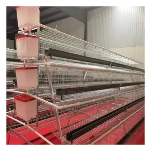 96 Birds Battery Cage, A Type Imported (25years Guarantee)