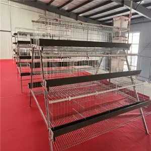 96 Birds Hot Dip 25years Foreign Layer Cage For Big Farm