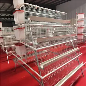 160 Birds Foreign Hotdip (25 Years Guarantee )Cage,Fish Kiln