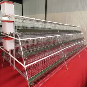 Poultry Cages Hub, Layer, Imported Broiler And Rabbit Cages