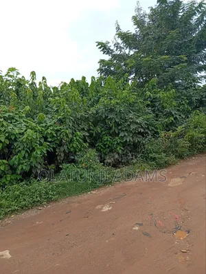 170acrea of Farmland at Osuntedo in Osun State