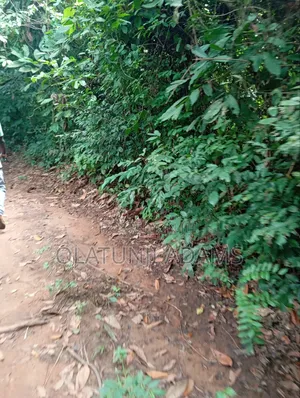 10acees of Farmland at Osuntedo