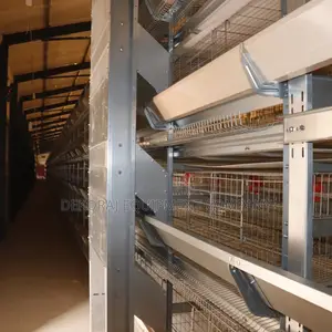 Fully Automated Imported Cage With Auto Feeding System/Set