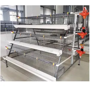 Imported 96 Chicken Cage For Commercial Farming