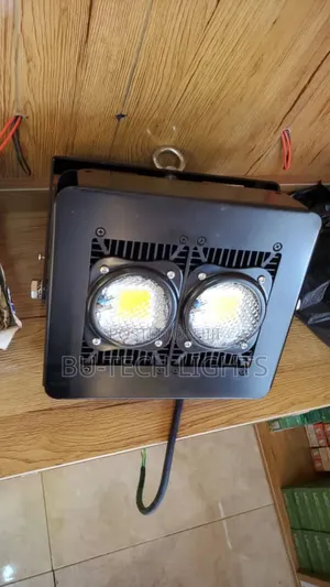 Two Pointer Led Floodlights