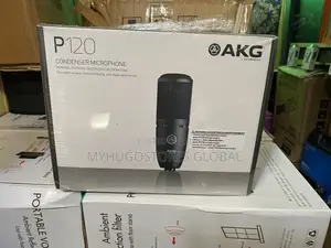 AKG P120 Cardioid Condenser Microphone (Black)