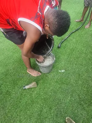 Indoor Outdoor Cleaning Fumigation Service