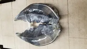 Sonata 2022 Headlamp LED