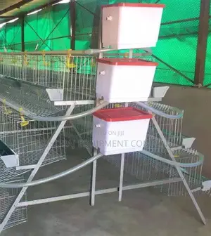 128 Birds Capacity Top Imported Cage (25 Years Guarantee)