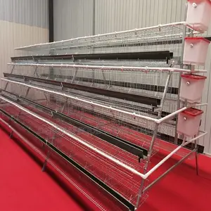 160 Birds Cage Imported (25 Years Guarantee) High Grade Cage