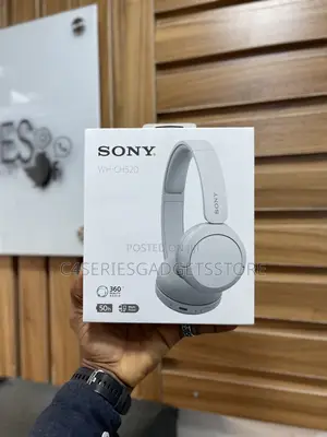 Sony WH-CH520
