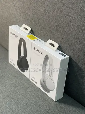 Sony WH-CH520