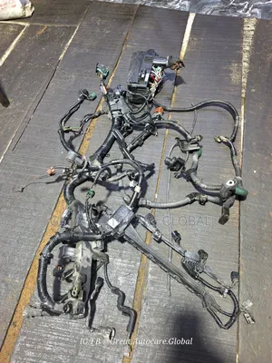Complete Harness Wire for 2013-2017 Honda Accord V4 Engine