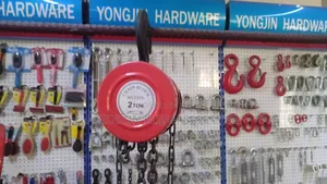2 Tons Chain Block 3meters Carrier Chain (China)