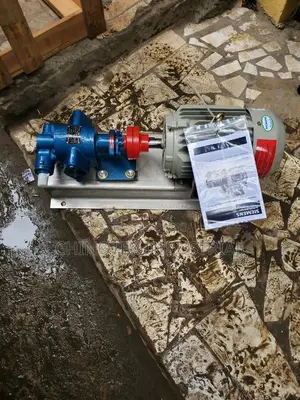 1.5" Inch Oil Transfer Gear Pump for Diesel, Palm Oil, Paints Etc.
